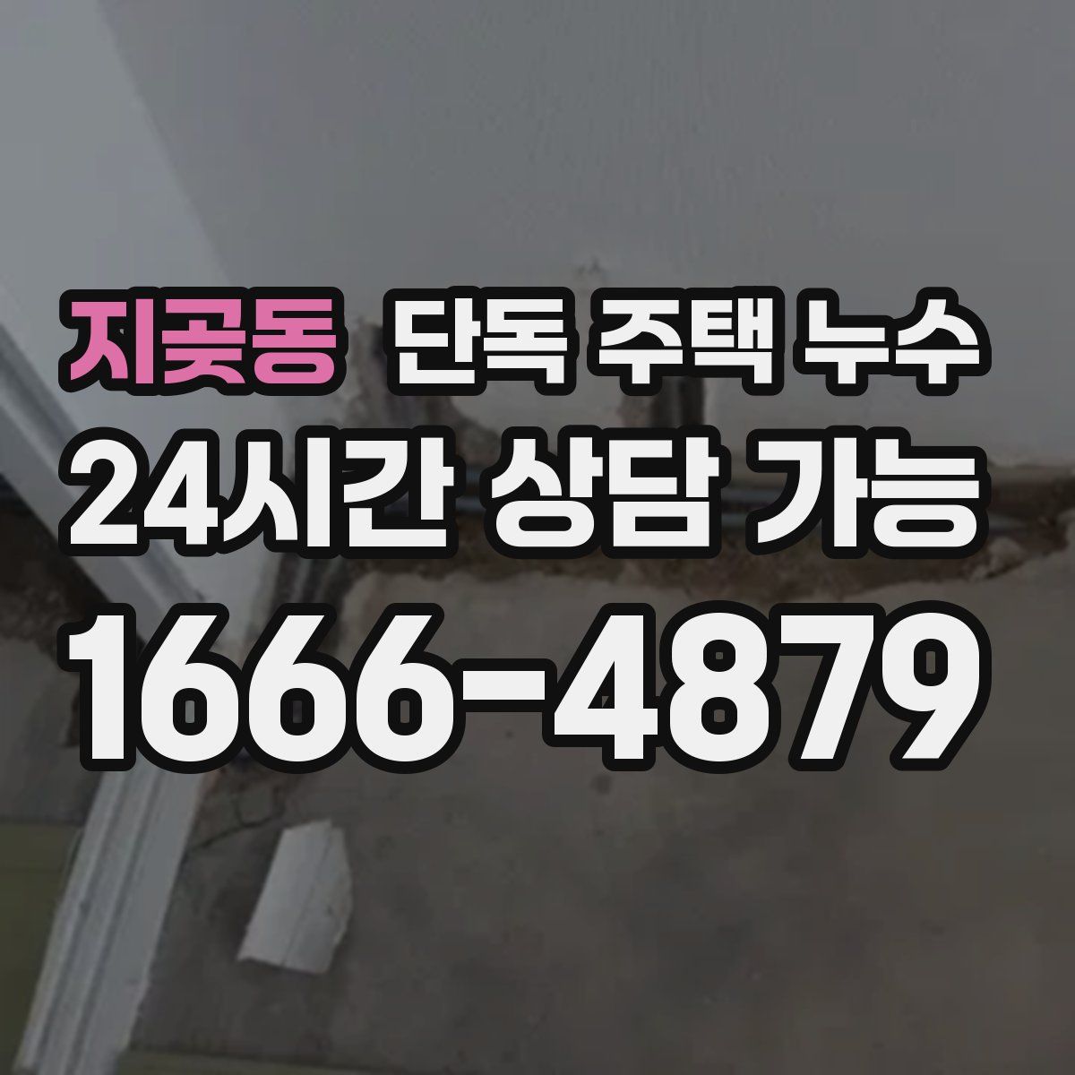 지곶동 단독 주택 누수