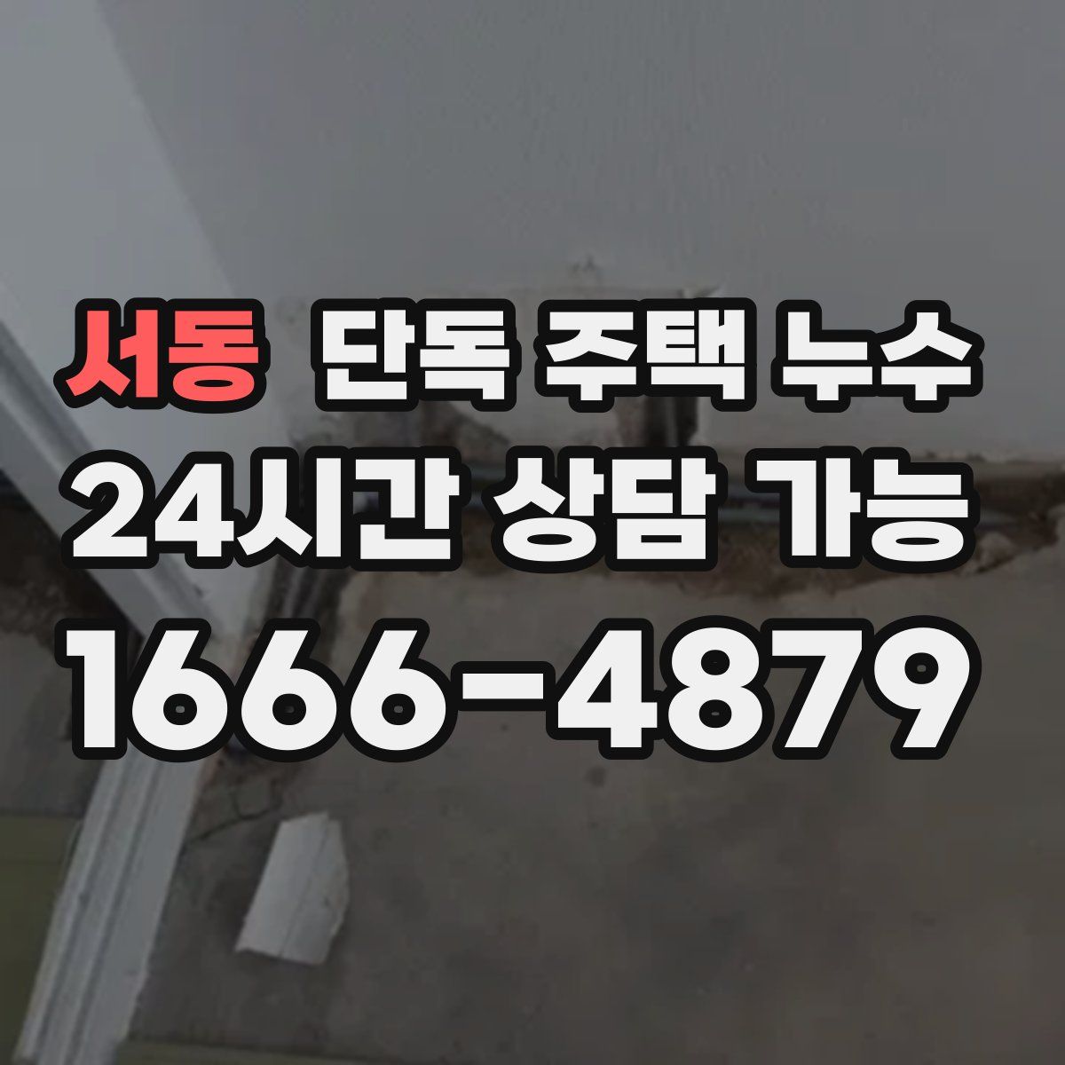 서동 단독 주택 누수