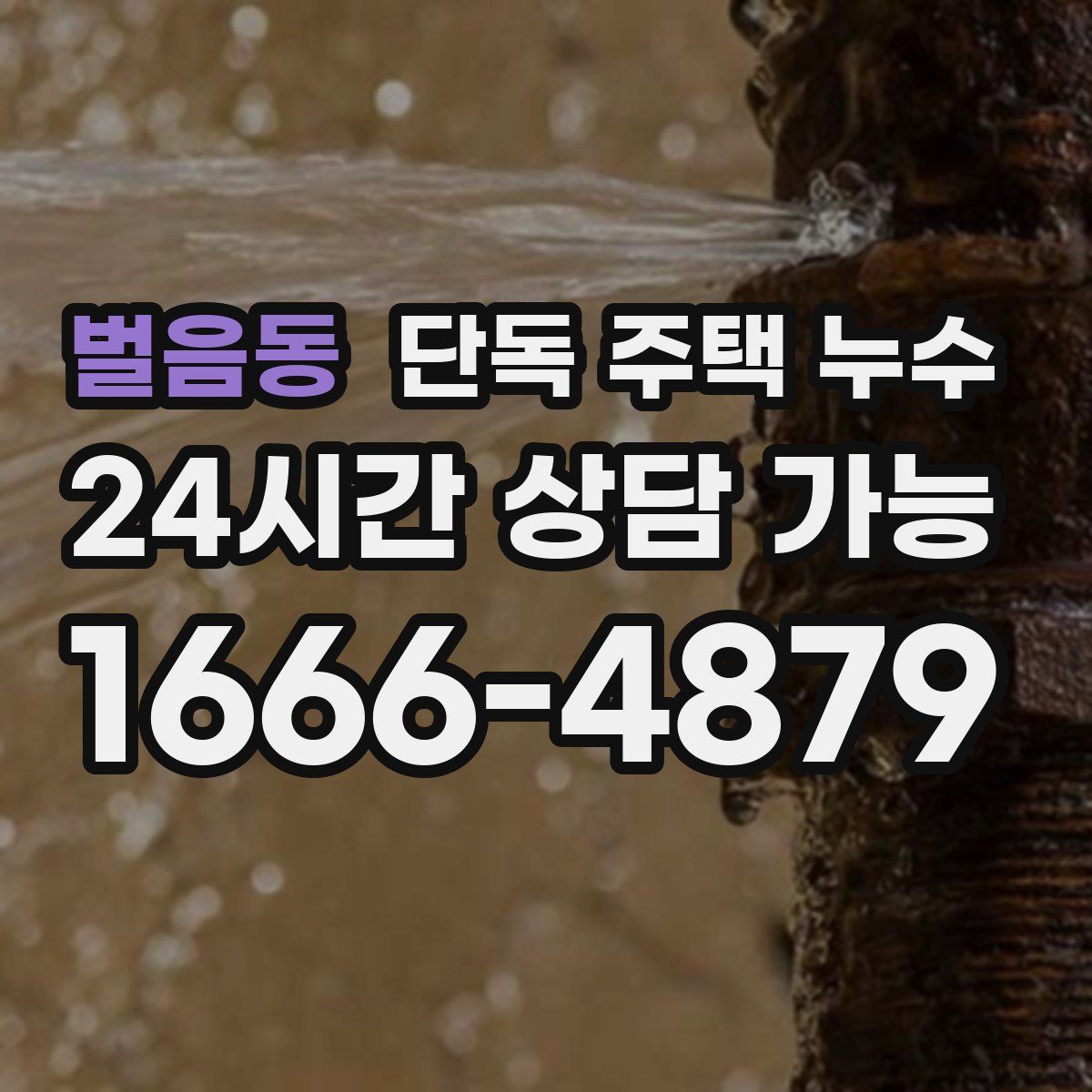 벌음동 단독 주택 누수