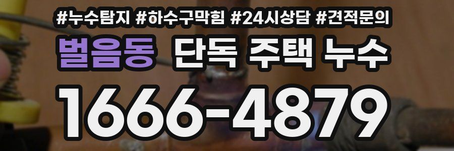 벌음동 단독 주택 누수