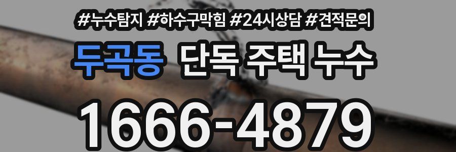 두곡동 단독 주택 누수