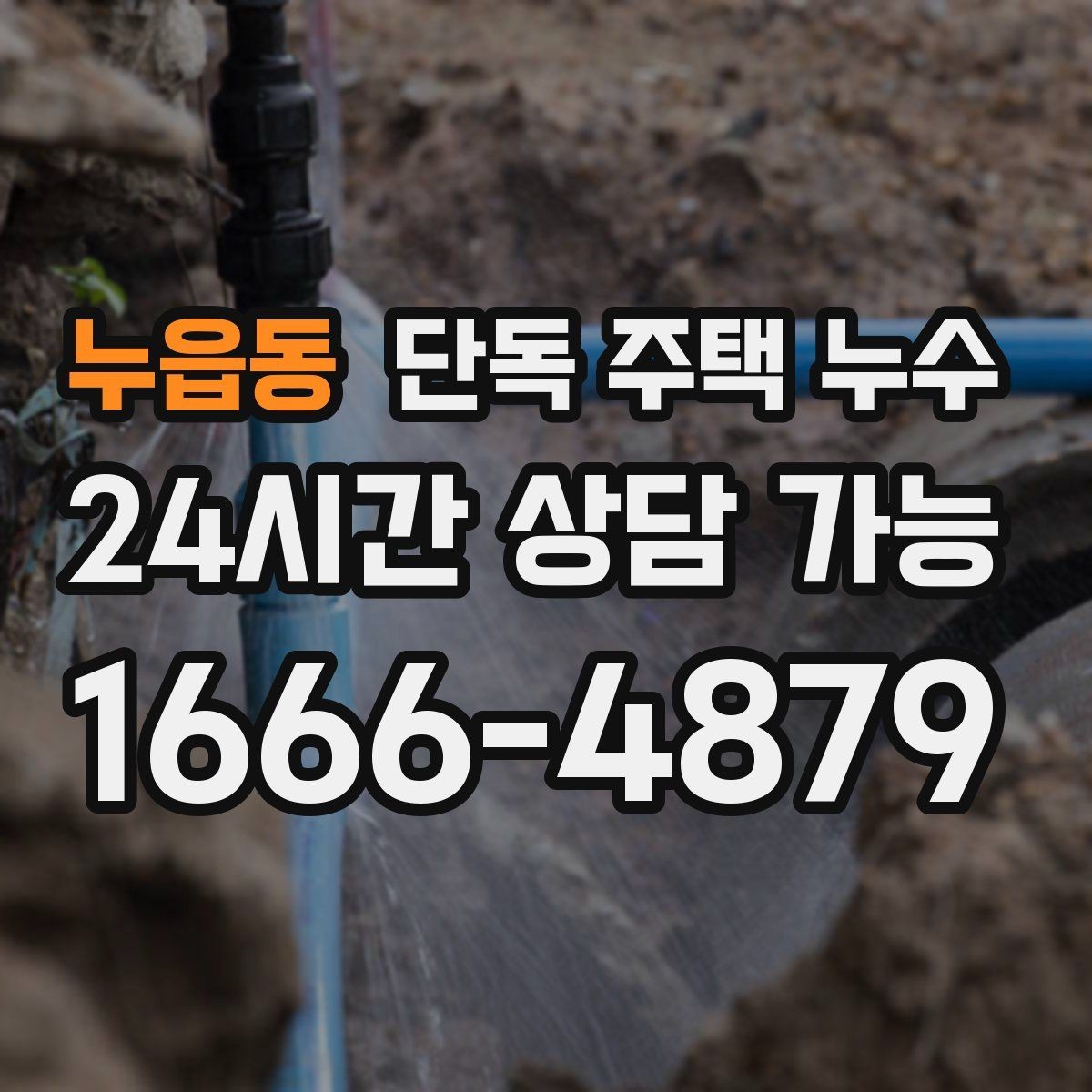 누읍동 단독 주택 누수 빗물받이 청소 주기와 점검 포인트