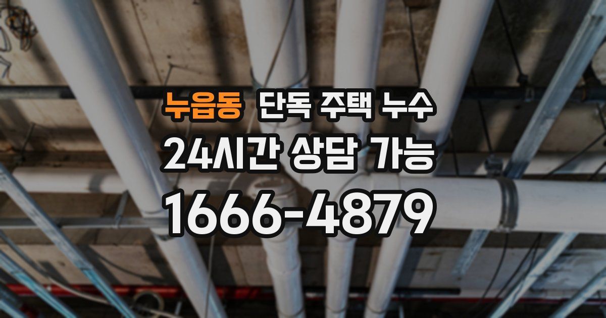 누읍동 단독 주택 누수