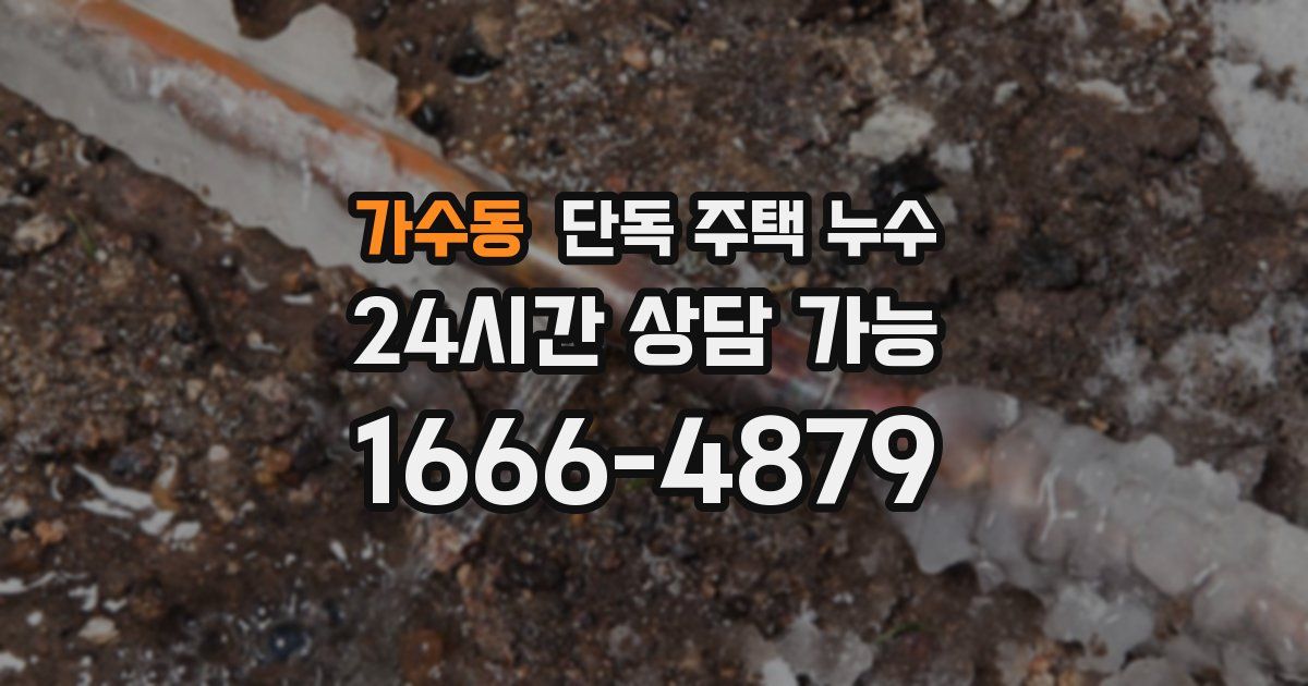 가수동 단독 주택 누수
