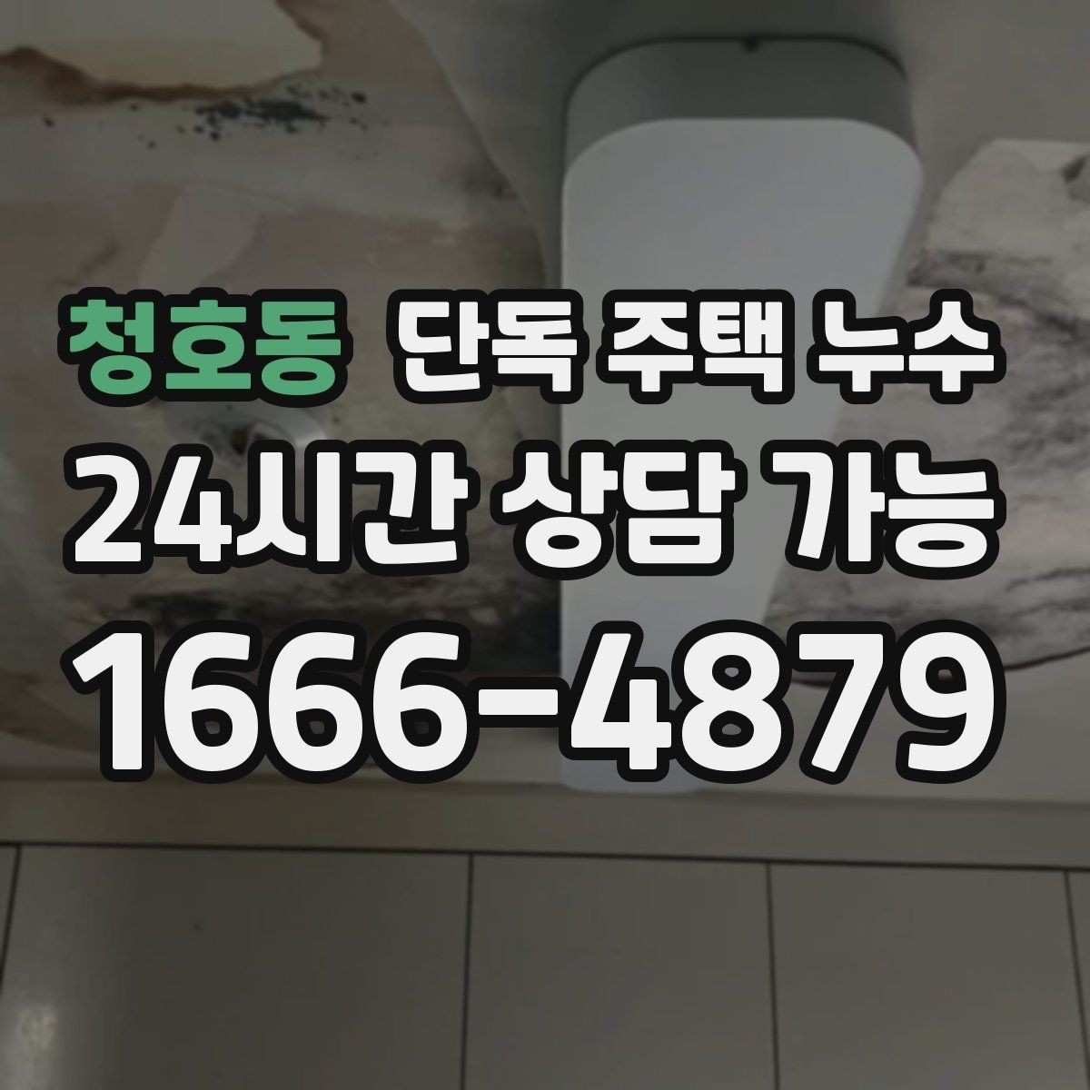 청호동 단독 주택 누수 옥상 없는 집의 방수 포인트 정리