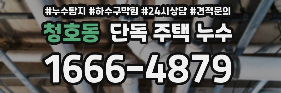 청호동 단독 주택 누수