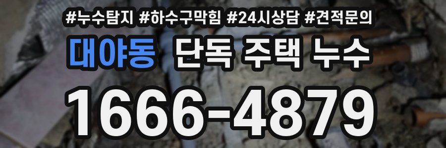 대야동 단독 주택 누수