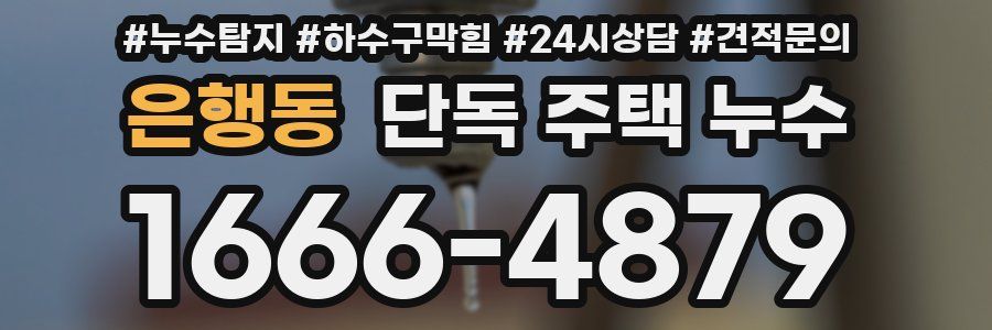 은행동 단독 주택 누수