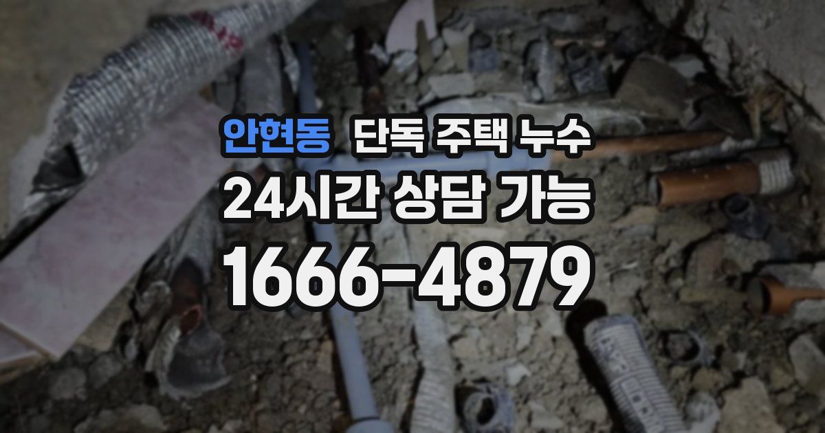 안현동 단독 주택 누수