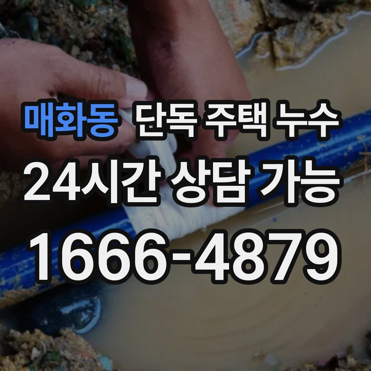 매화동 단독 주택 누수