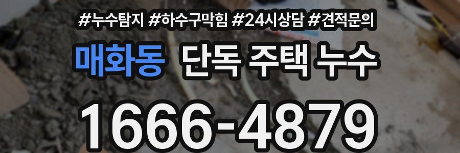 매화동 단독 주택 누수