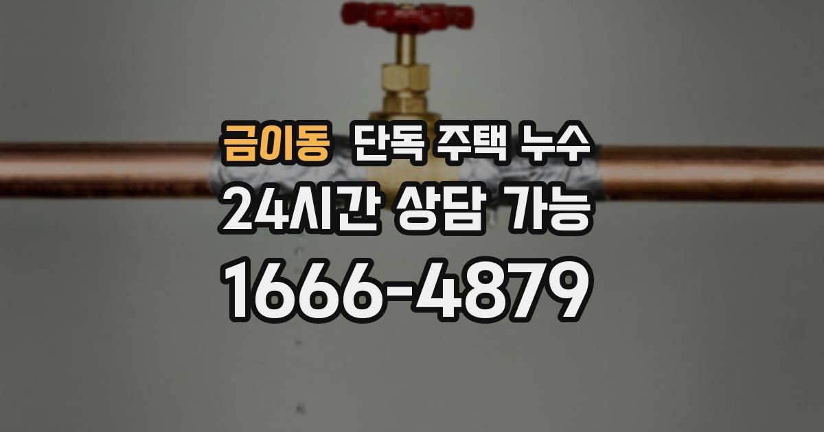 금이동 단독 주택 누수