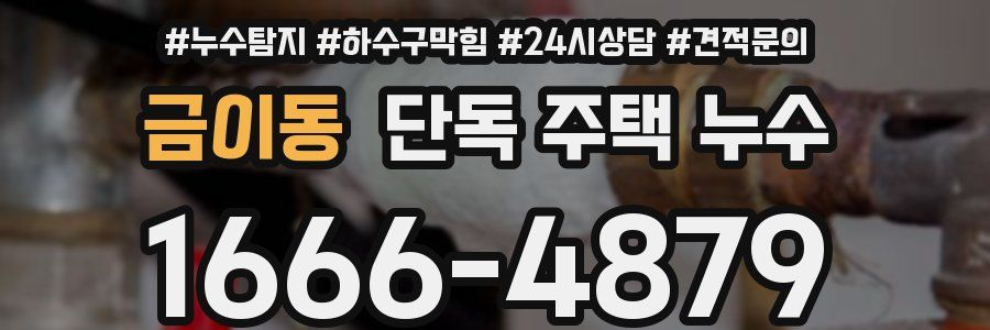 금이동 단독 주택 누수