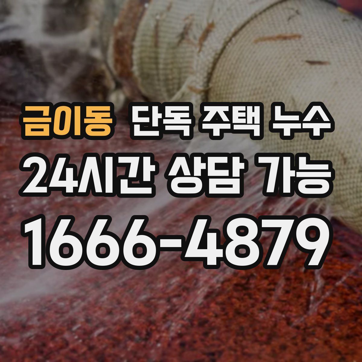 금이동 단독 주택 누수