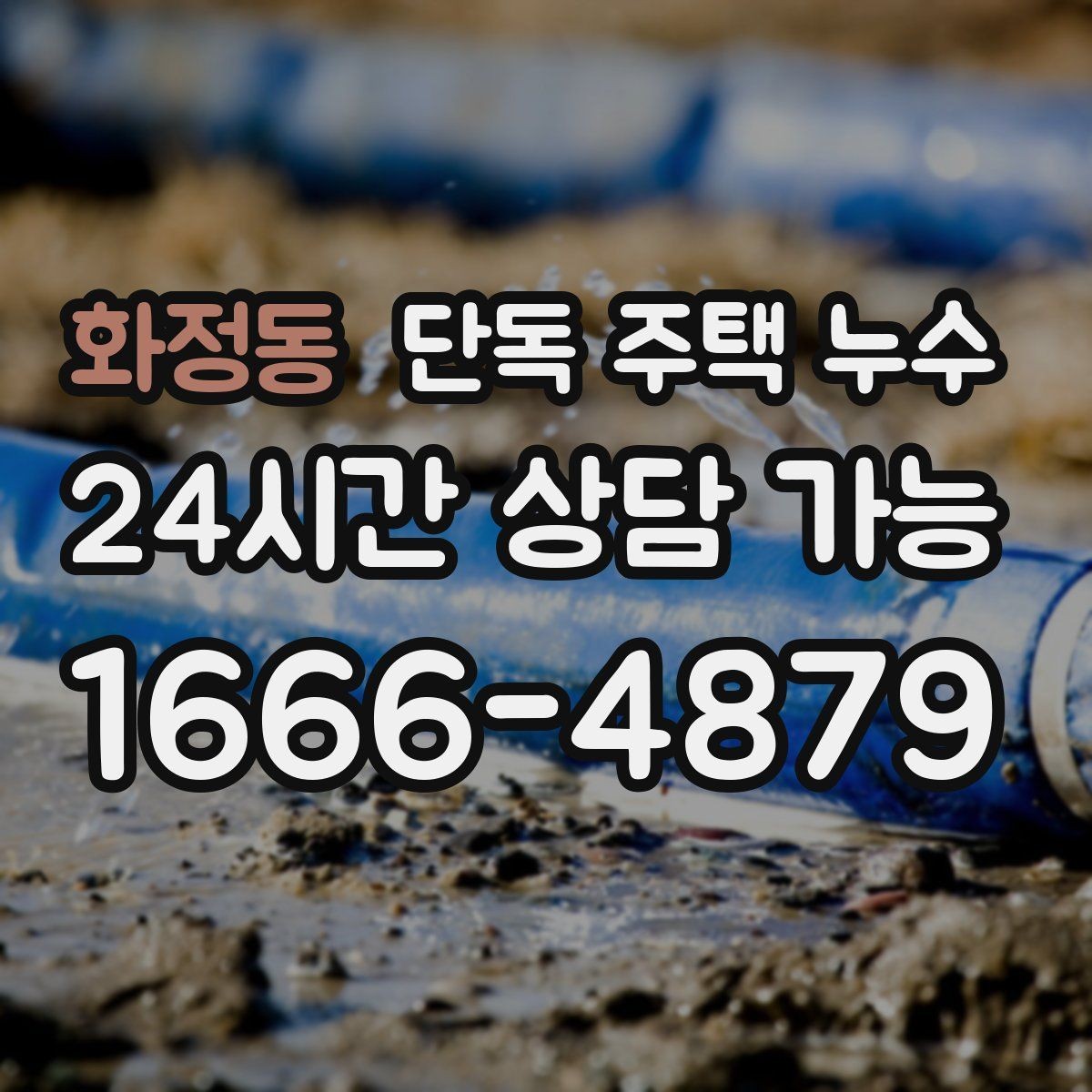 화정동 단독 주택 누수 가구 뒤 벽이 젖는다면 주의