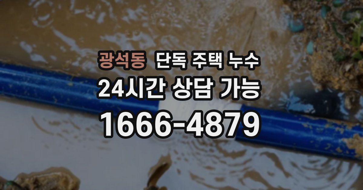 광석동 단독 주택 누수