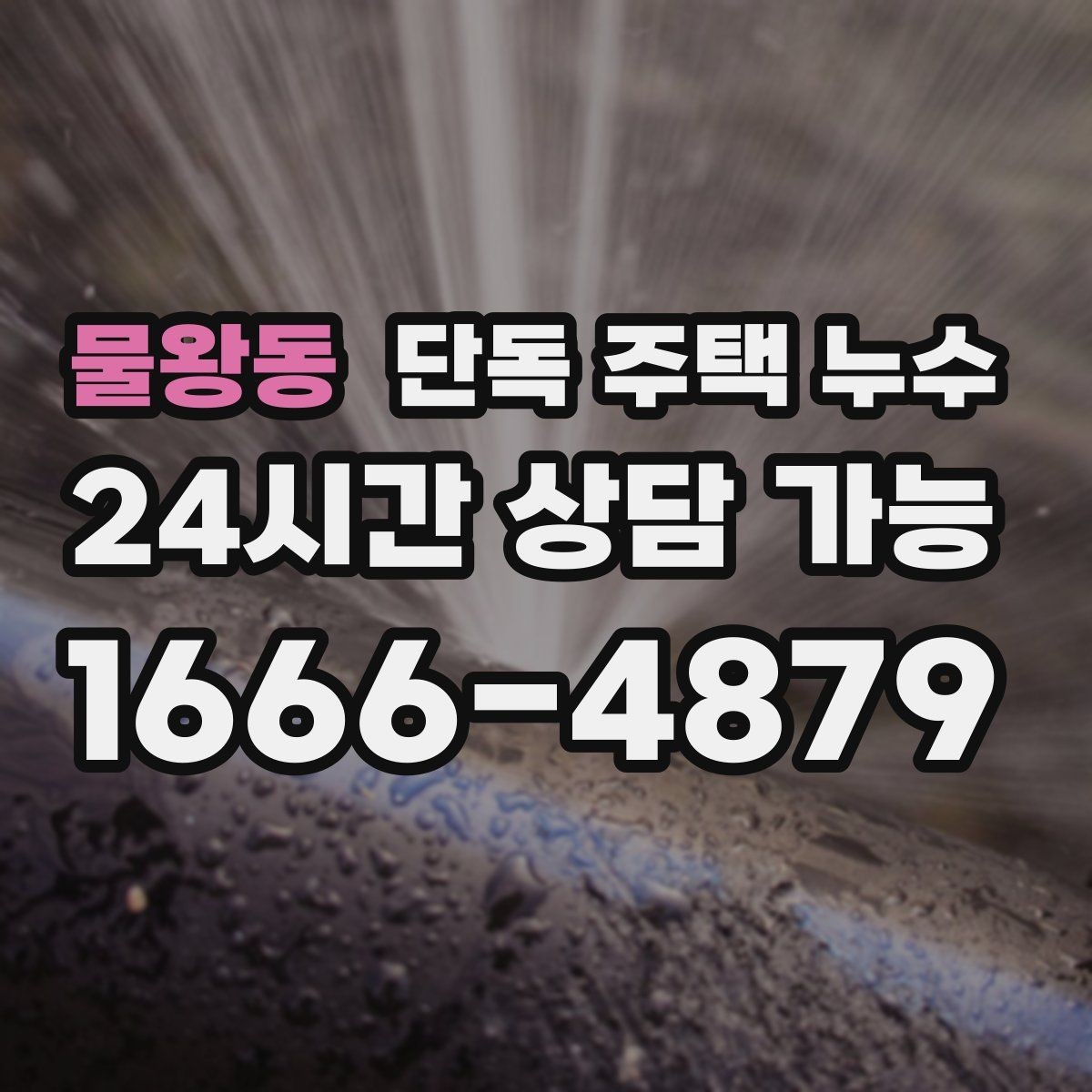 물왕동 단독 주택 누수 천장 한쪽 구석에서 시작되는 물자국 원인