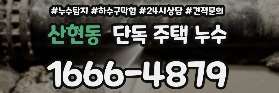 산현동 단독 주택 누수