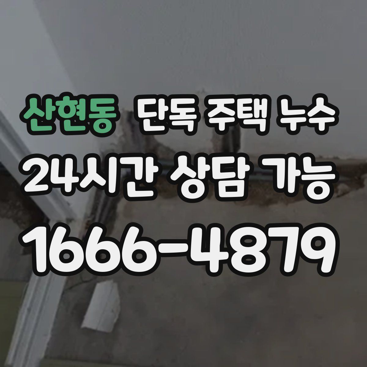 산현동 단독 주택 누수