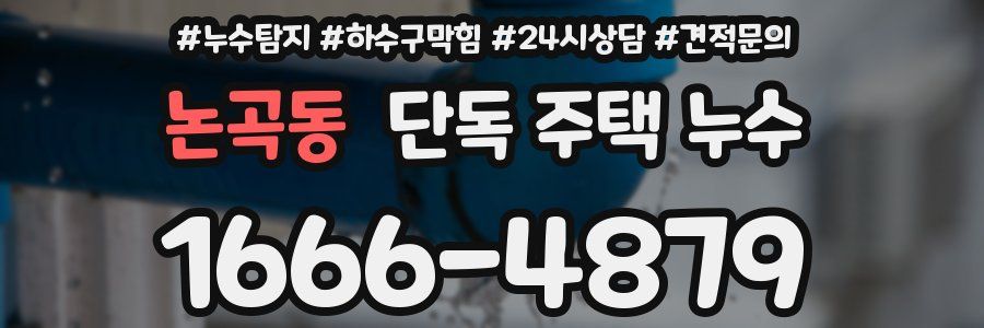 논곡동 단독 주택 누수