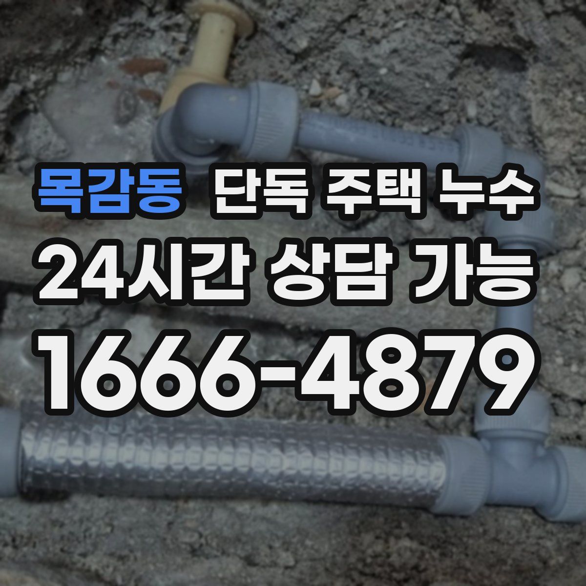 목감동 단독 주택 누수