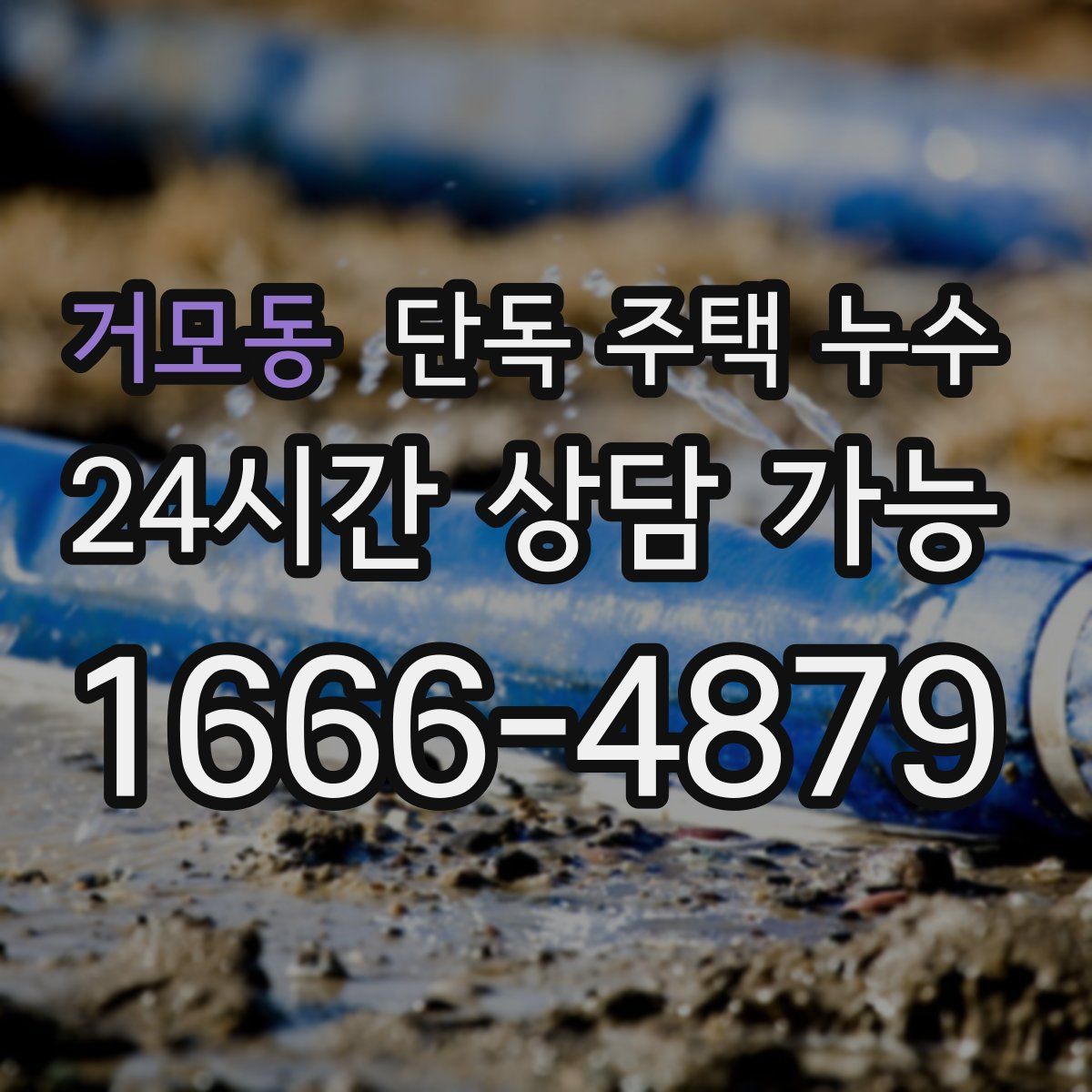 거모동 단독 주택 누수