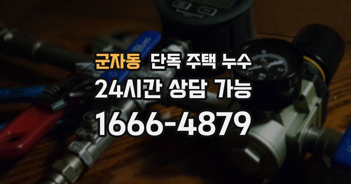 군자동 단독 주택 누수