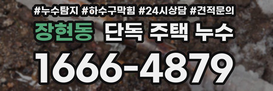 장현동 단독 주택 누수