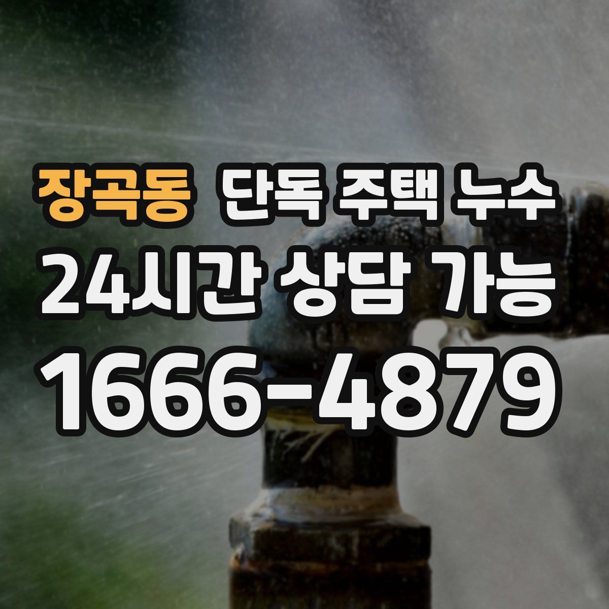 장곡동 단독 주택 누수