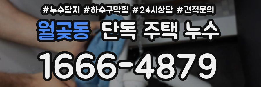 월곶동 단독 주택 누수