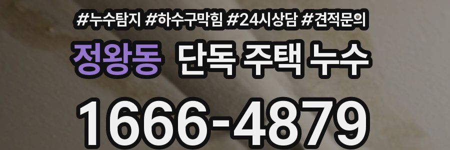 정왕동 단독 주택 누수