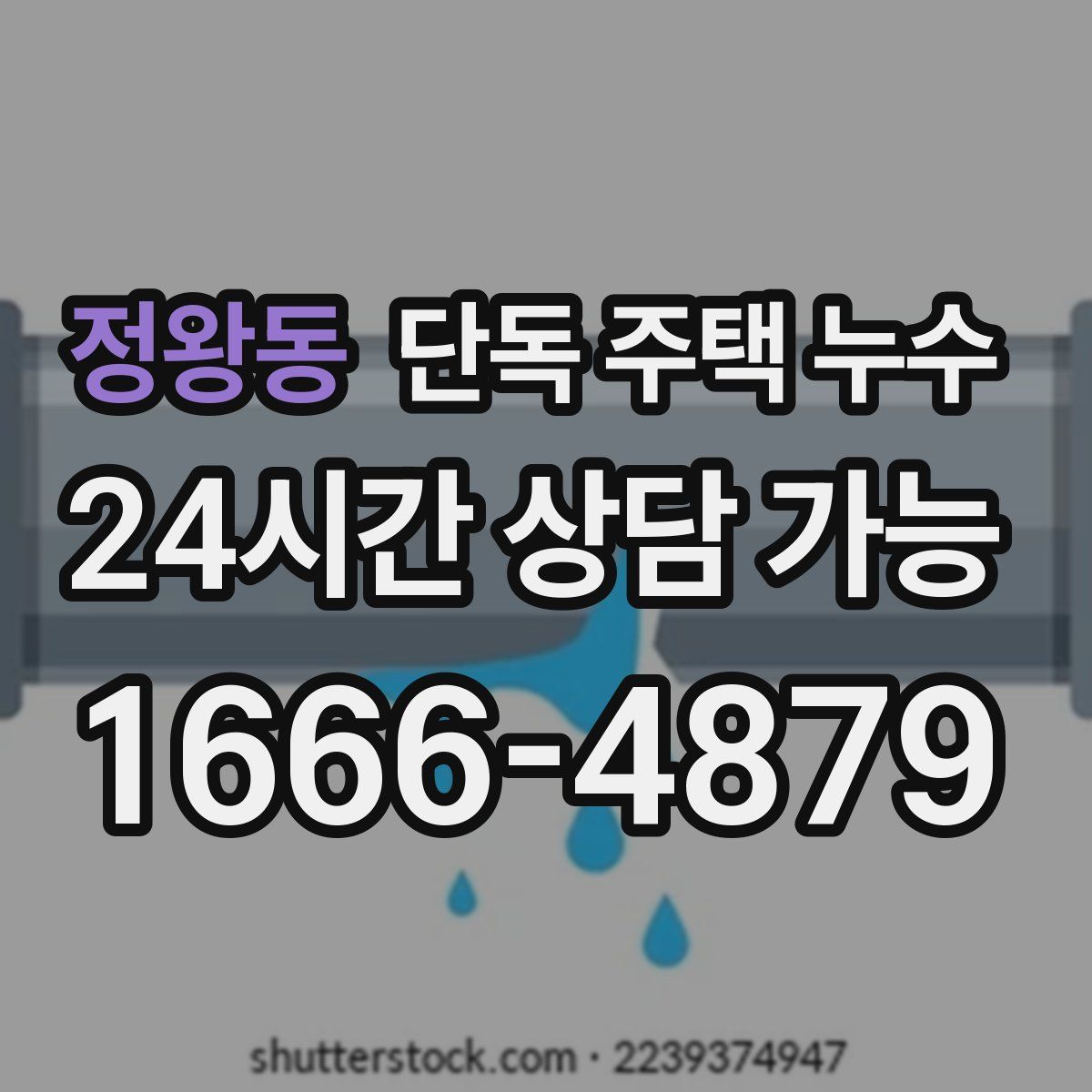 정왕동 단독 주택 누수