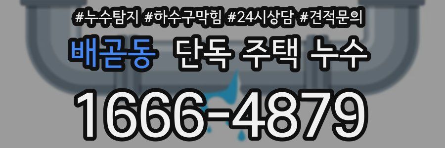 배곧동 단독 주택 누수