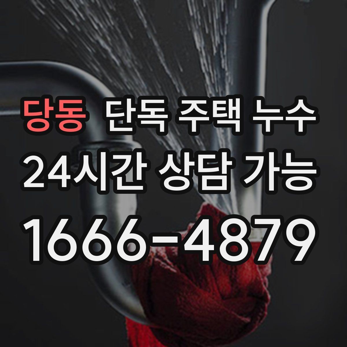 당동 단독 주택 누수 난방 배관 문제로 바닥이 젖는 경우