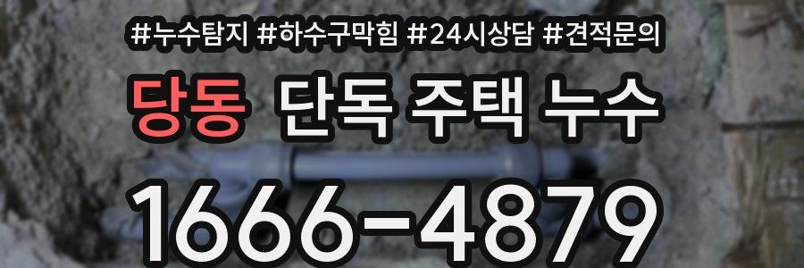 당동 단독 주택 누수