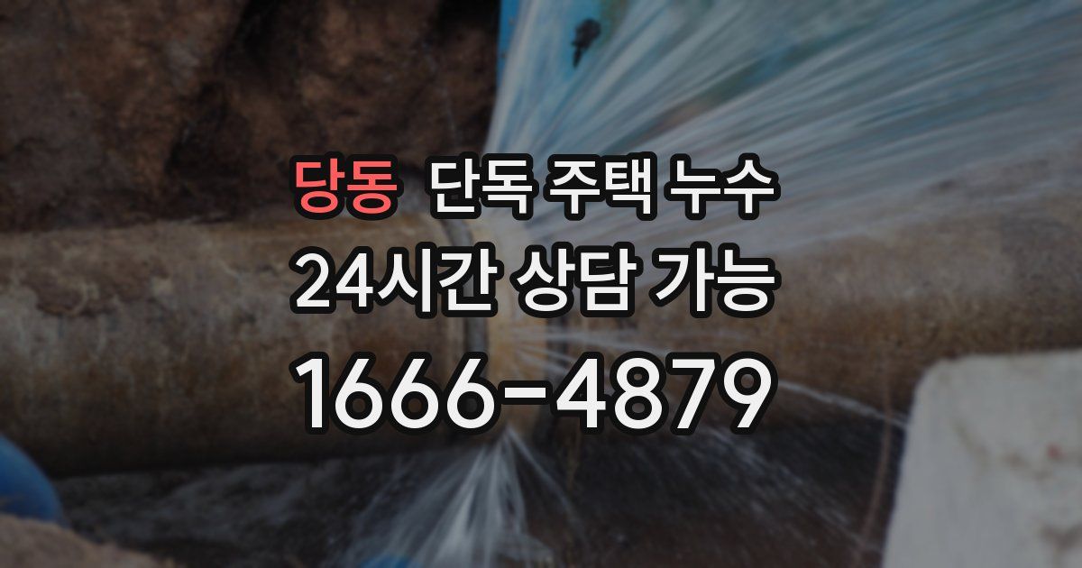 당동 단독 주택 누수