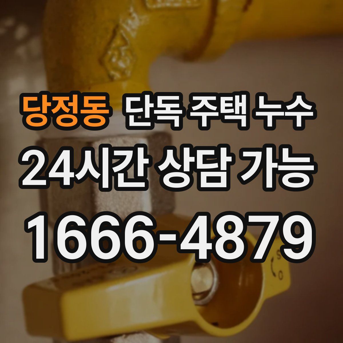 당정동 단독 주택 누수