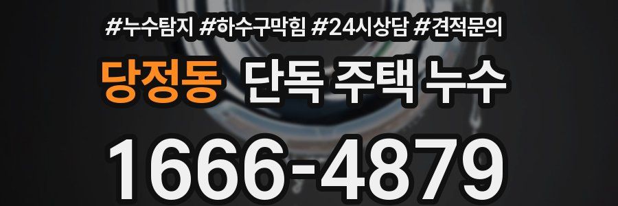 당정동 단독 주택 누수