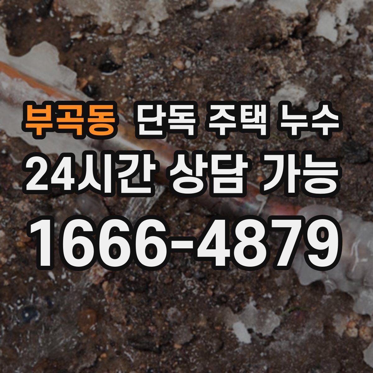 부곡동 단독 주택 누수