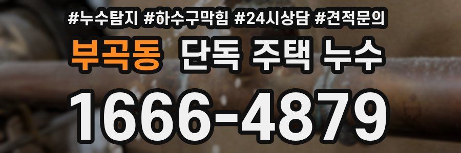 부곡동 단독 주택 누수