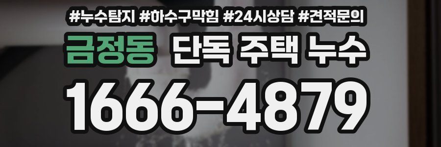 금정동 단독 주택 누수