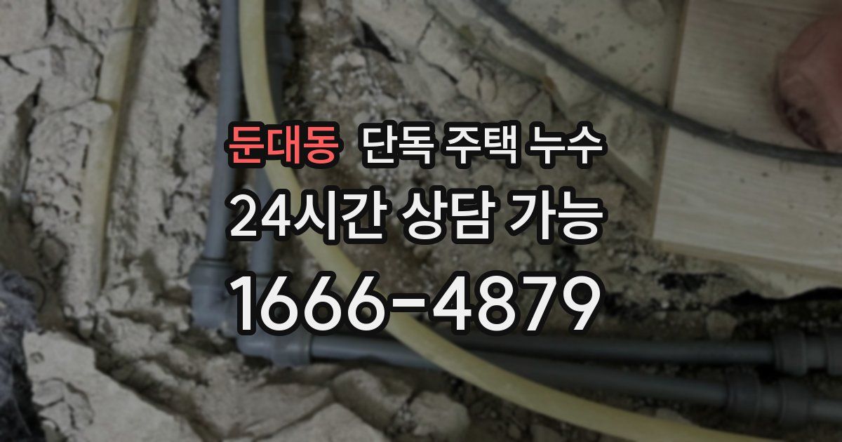 둔대동 단독 주택 누수