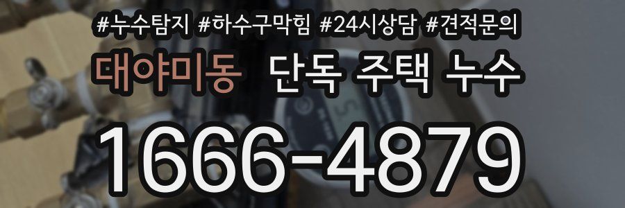 대야미동 단독 주택 누수