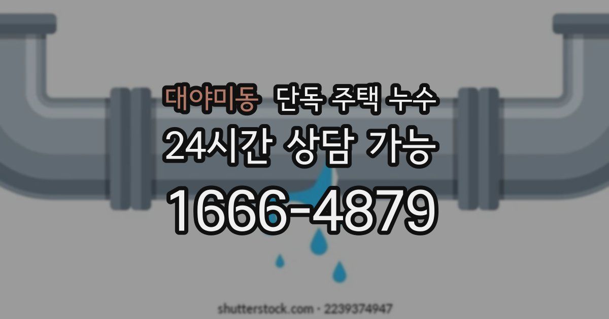 대야미동 단독 주택 누수