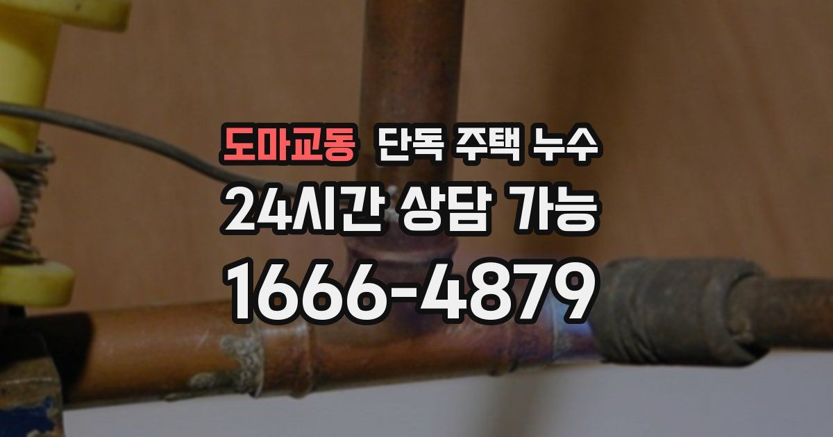 도마교동 단독 주택 누수