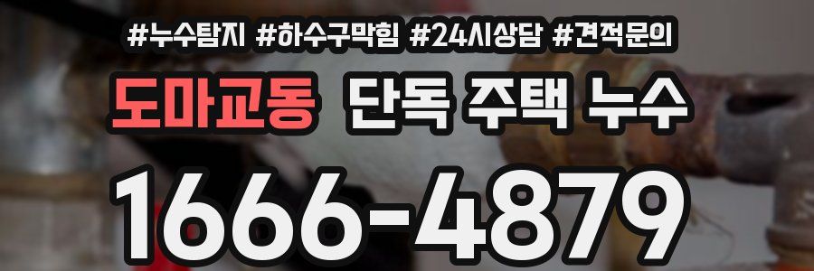 도마교동 단독 주택 누수