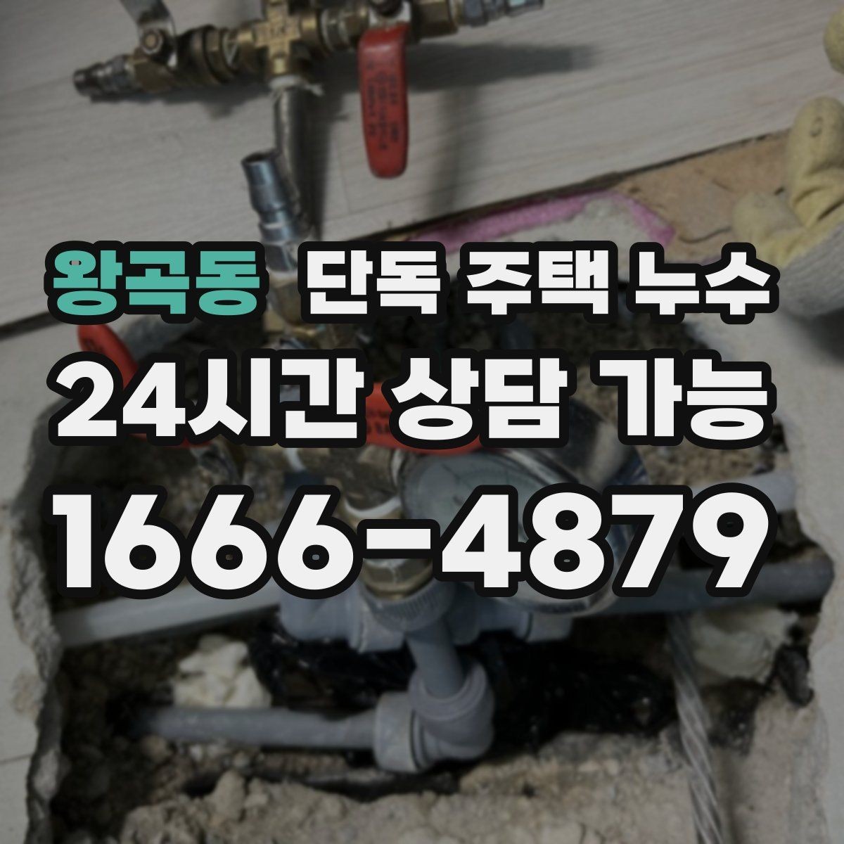 왕곡동 단독 주택 누수 줄눈 보수로 해결되는 경우와 아닌 경우