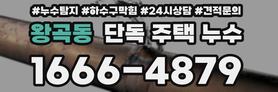 왕곡동 단독 주택 누수