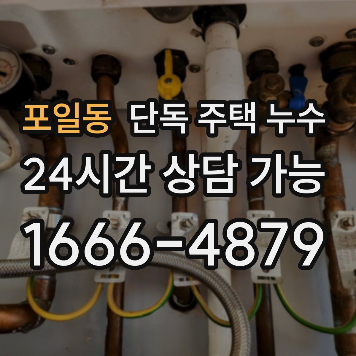 포일동 단독 주택 누수