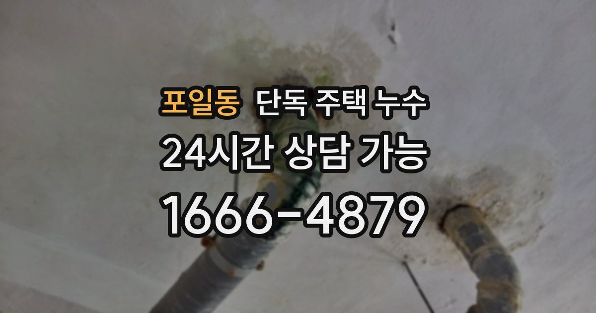 포일동 단독 주택 누수
